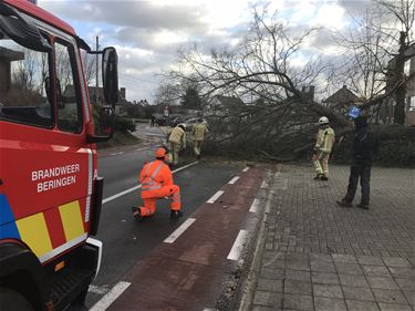 Maatregelen tegen storm Ciara - Beringen