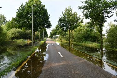 Maatregelen wateroverlast gemeente Lummen - Beringen