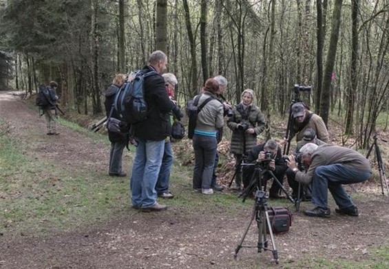 Macroles op locatie - Overpelt