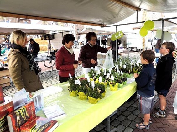 Magere opkomst voor de Teutenmarkt - Neerpelt