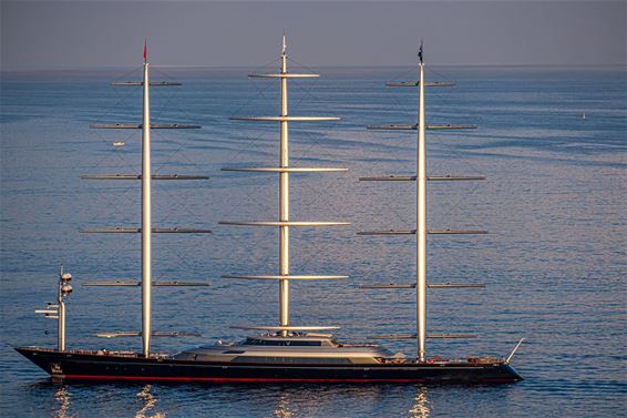 Maltese Falcon duikt op voor vakantieganger - Oudsbergen
