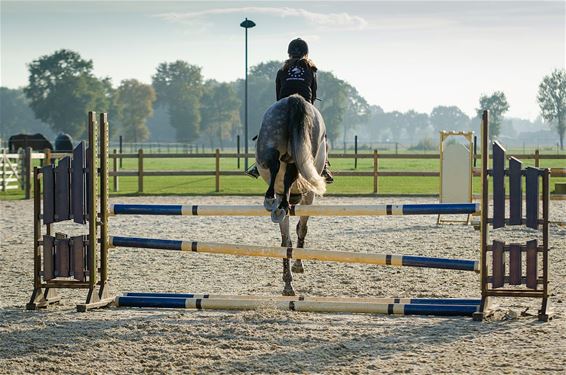 Manegedeel Breugelhoeve voor privéuitbater - Peer