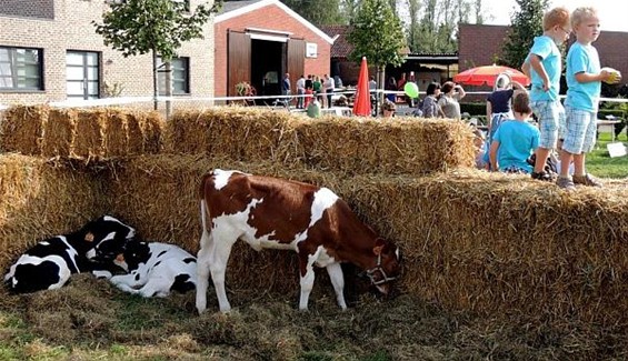 Massa volk op Dag van de Landbouw - Neerpelt