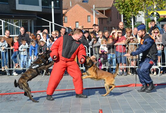 Massa volk voor opendeur Politie - Lommel