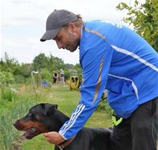 Pelt - Matthias Schoenaerts in Knack Focus