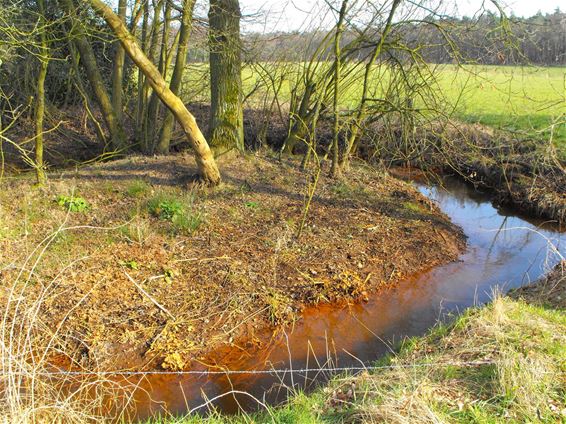 Meanderende waterlopen beter - Hechtel-Eksel