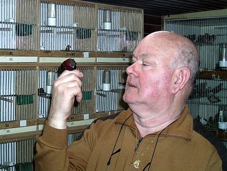 Medailles voor een piepkleine vogel - Overpelt