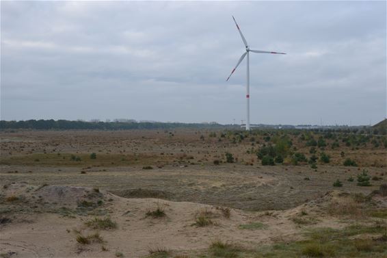 Mee natuur verhuizen? - Lommel