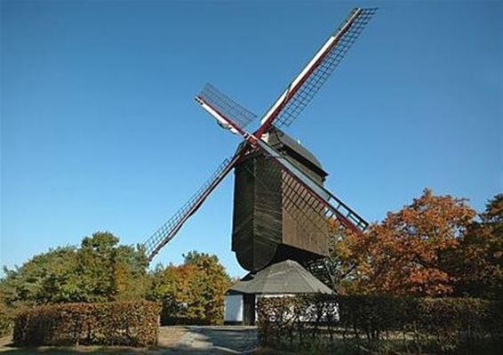 Meedenken over oude windmolens - Pelt