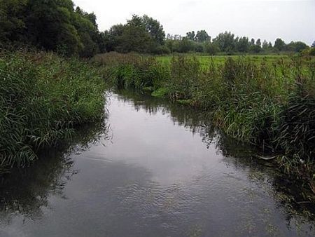Meer biodiversiteit in de Dommel nodig - Peer & Pelt