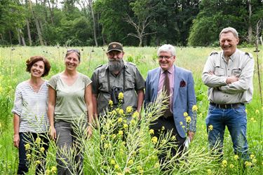 Meer bloemen en biodiversiteit met 'Limburg zaait' - Beringen