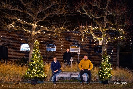 Meer dan 40 kerstbomen op Broeseind - Pelt