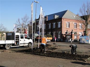 Meer groen in de stad - Beringen