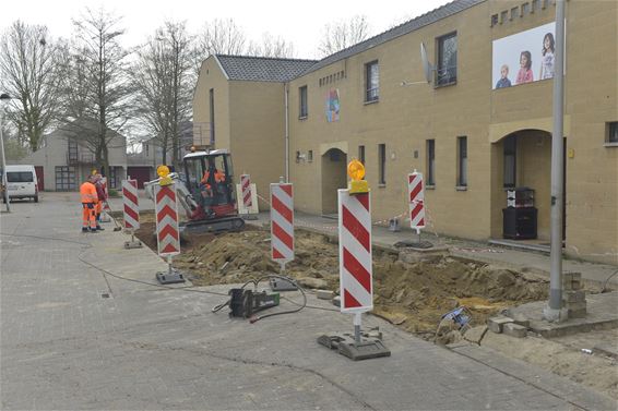 Meer groen in wijk Waterstraat - Beringen