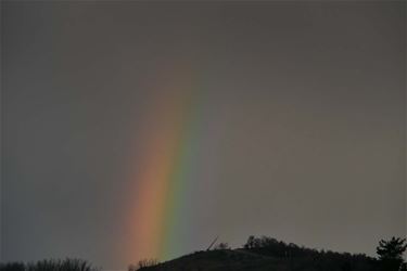 Meer regen dan regenbogen - Beringen