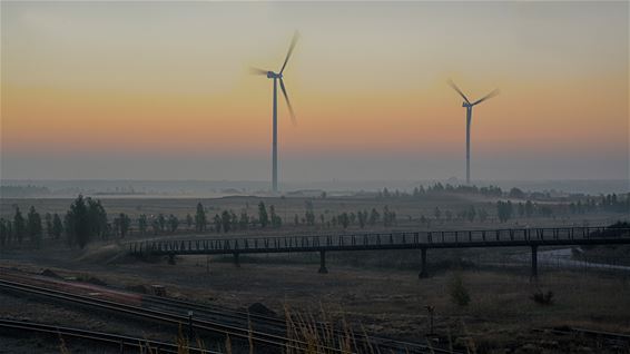 Meerdere natuurfoto's - Lommel