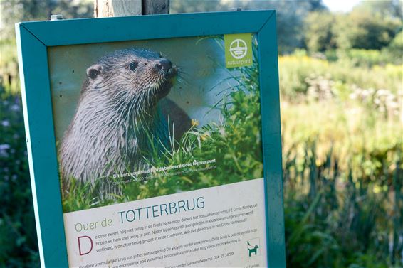 Meerhout: Totterpad - Beringen