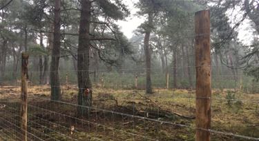 Meeste ecorasters in Limburg