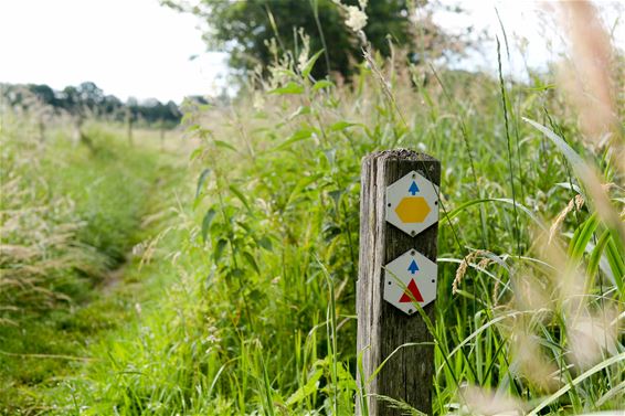 Meldert: Gele wandeling - Beringen