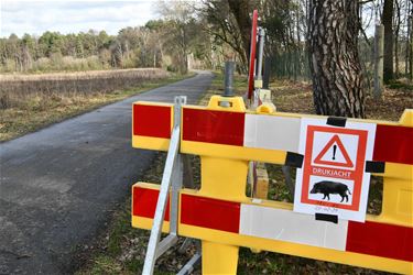 Melkpad afgesloten voor drukjacht - Beringen