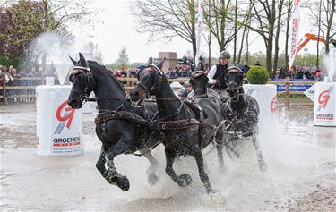 Menwedstrijd: Sandmann wint marathon vierspannen