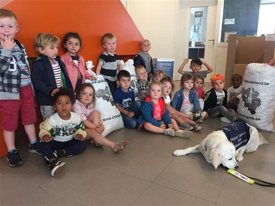 Met dank van de geleidehond - Neerpelt