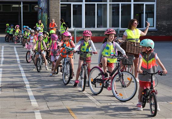 Met de fiets naar Blueberry Fields - Beringen