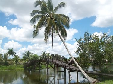 Met vakantiegroeten uit... Cuba - Lommel