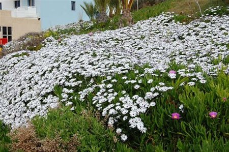 Met de groeten uit Cyprus - Overpelt
