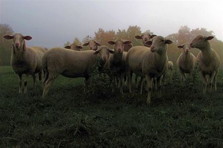 Met de groeten uit de Ardennen - Neerpelt
