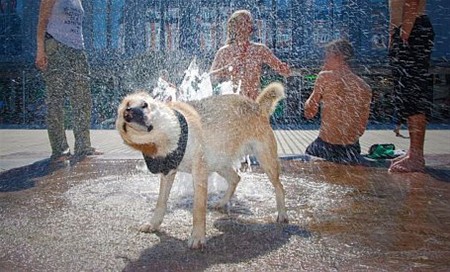 Met de groeten uit... de Ardennen - Lommel
