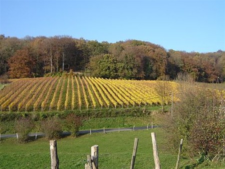 Met de groeten uit... de Voerstreek - Neerpelt
