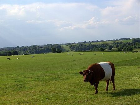 Met de groeten uit de Voerstreek - Neerpelt