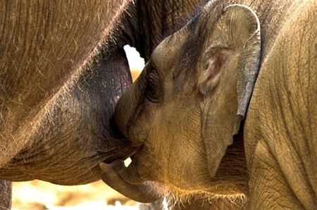 Met de groeten uit de Zoo - Neerpelt
