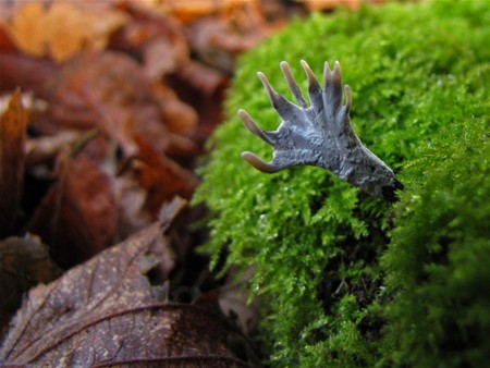 Met de groeten uit... Hemiksem - Neerpelt
