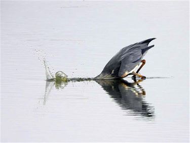 Met de groeten uit... Herkenrode