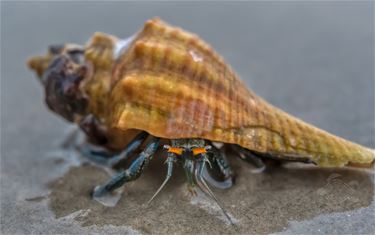 Met de groeten uit Thailand