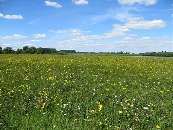 Met de groeten uit... Uikhoven - Hechtel-Eksel