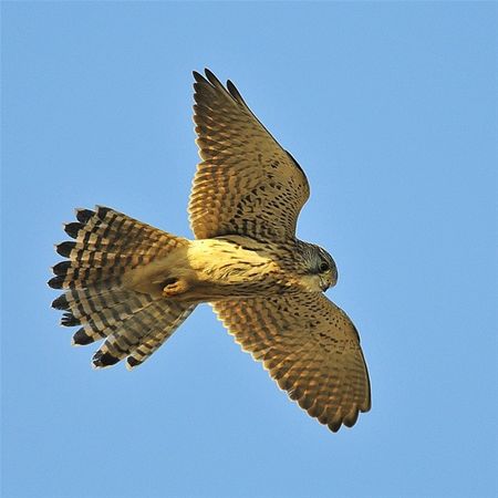 Met de groeten uit Zeeland - Overpelt