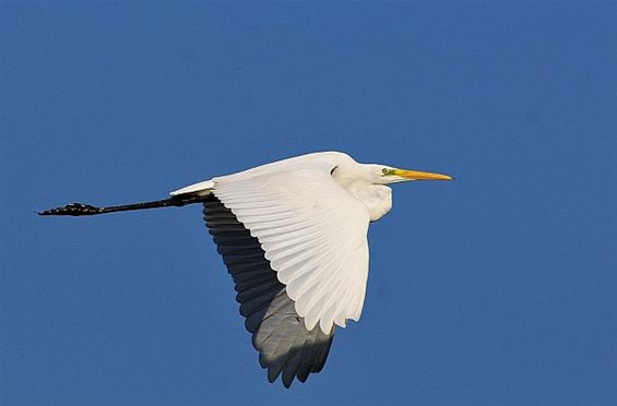 Met de groeten uit... Zonhoven - Overpelt