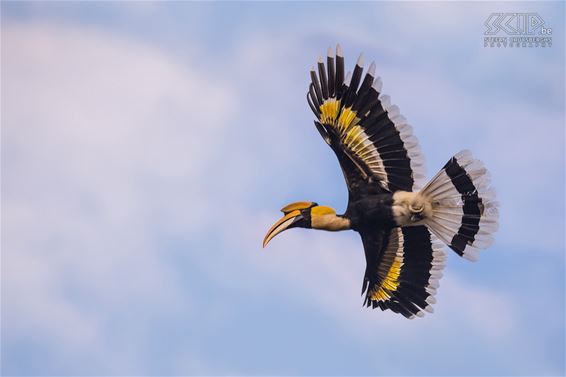 Met de groeten uit... Zuid-India - Lommel