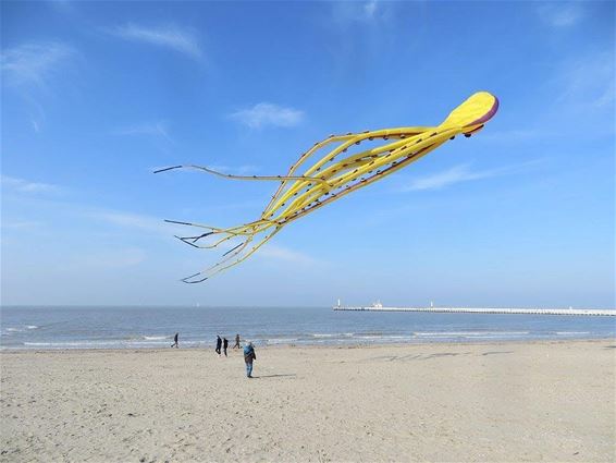 Met de groeten vanuit... Nieuwpoort - Hechtel-Eksel