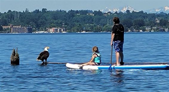 Met de groeten uit Seattle - Pelt