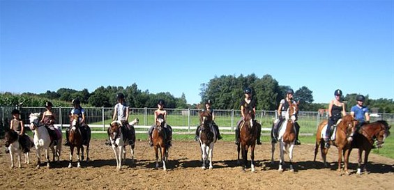 Met de pony's naar het Mikkenhof - Hamont-Achel