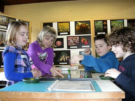 Met de school naar Isis - Hamont-Achel & Peer