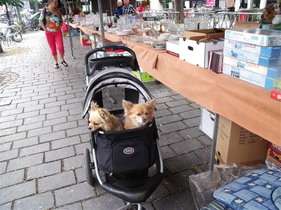 Met de tweeling naar de Teutenmarkt - Lommel