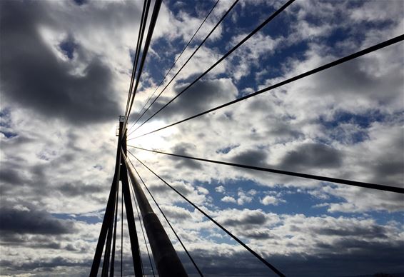 Met fluitende kabels in de wind - Neerpelt