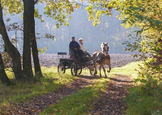 Met paard en kar - Lommel