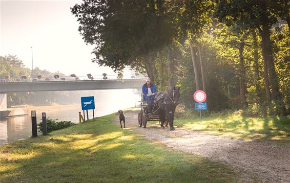 Met paard en kar... - Lommel