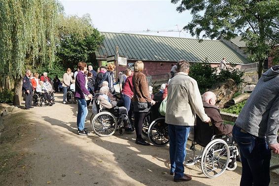 Met rusthuisbewoners naar de Olmense Zoo - Hamont-Achel